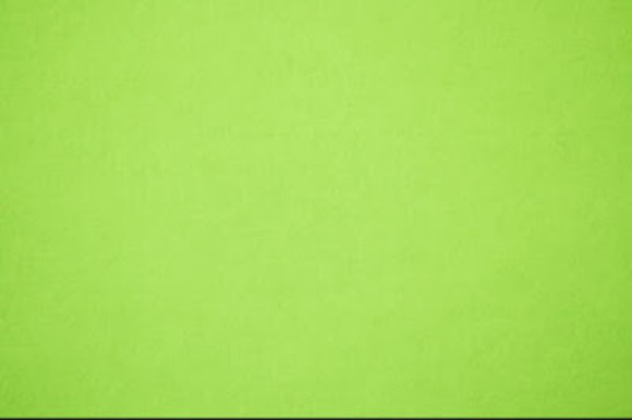 Meet your Posher, Max - Picture 1 of 1